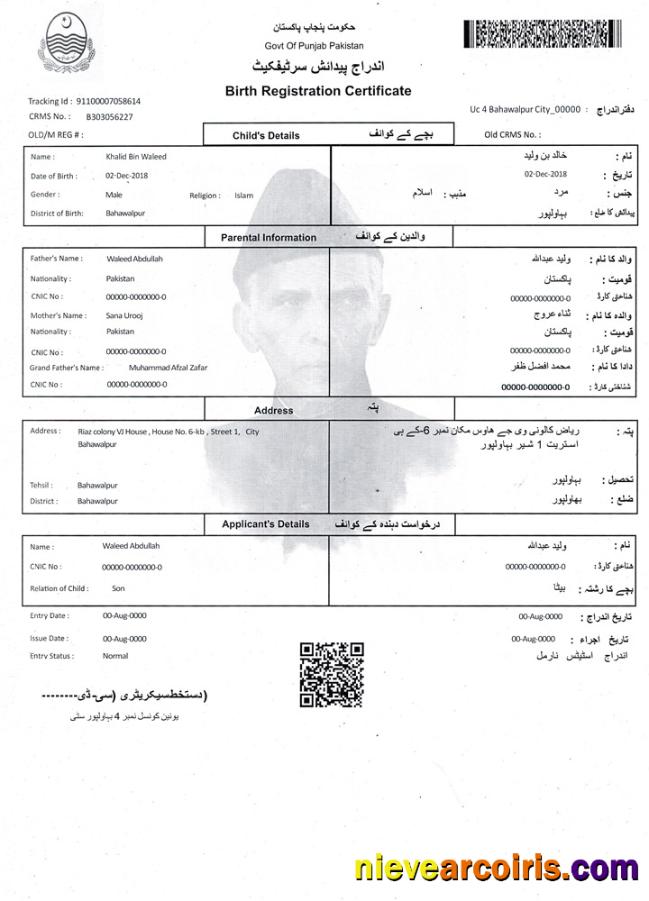 Pakistan Birth Registration certificate